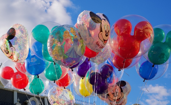 Preserving Smiles: How Photo Organization Captured the Magic of Our Disneyland Adventure